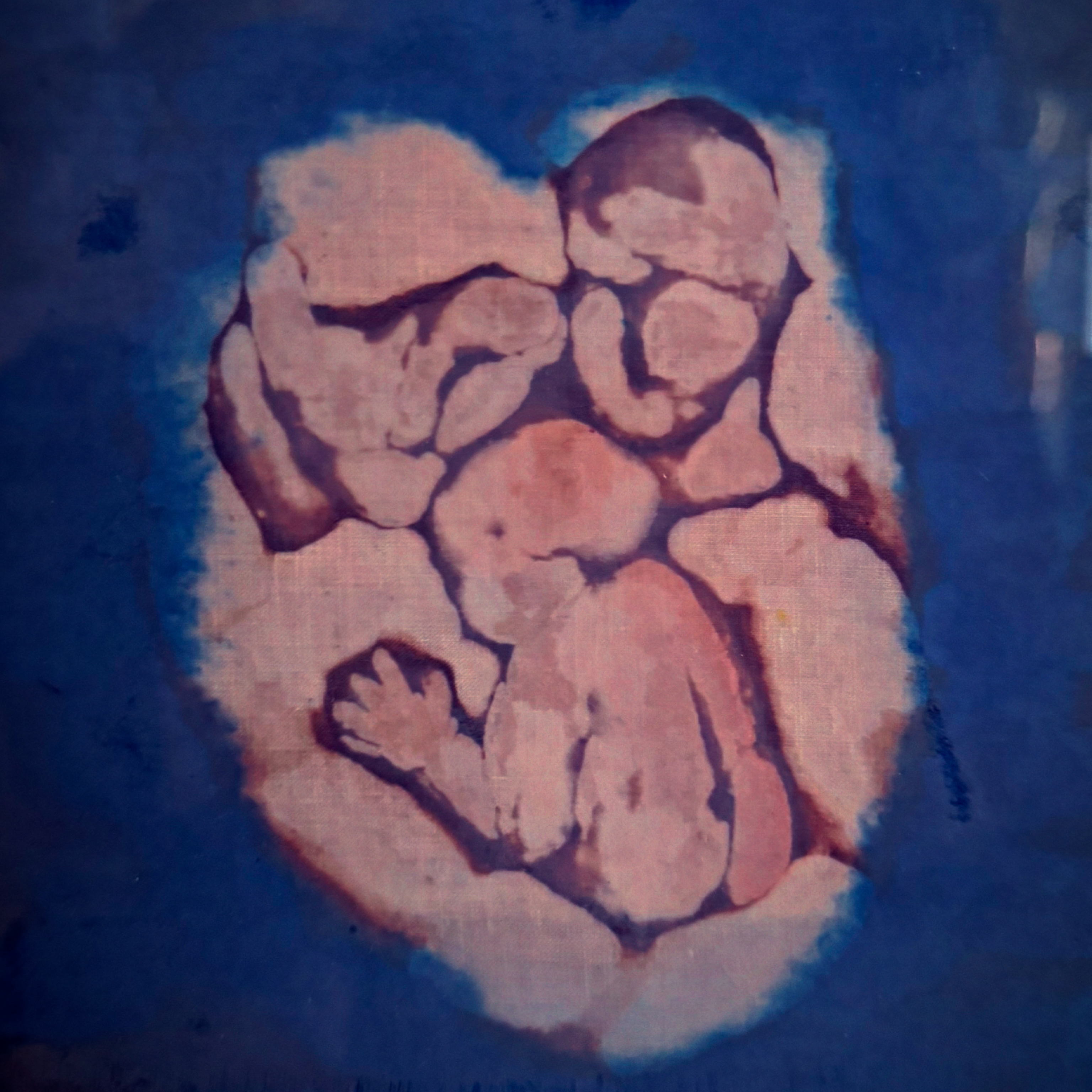 One of my mom's batiks